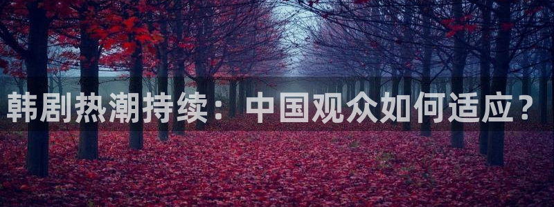c7安卓版下载