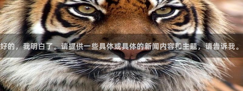 c7娱乐注册登录